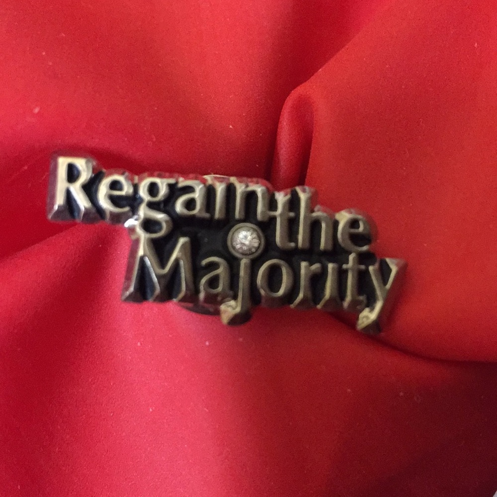Vintage "Regain the Majority" pin